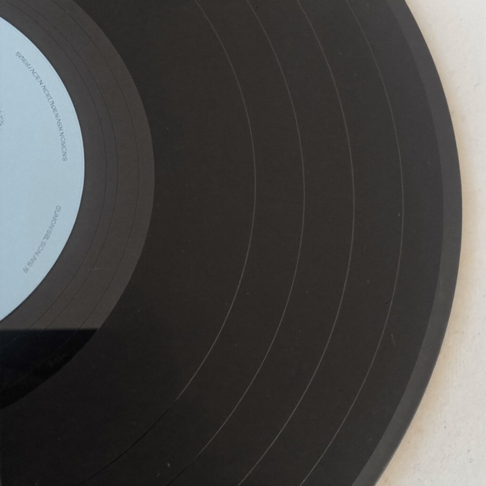Disco in vinile con etichetta neutra, fotografia di riferimento