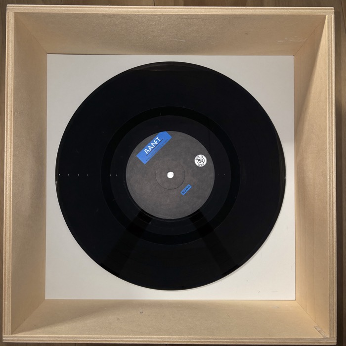 Disco in vinile con etichetta neutra, fotografia di riferimento